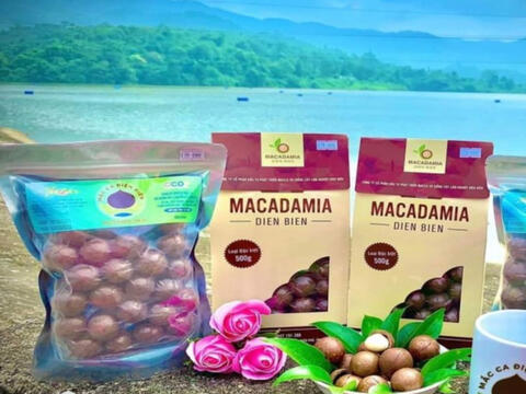 Điện Biên phát huy sở hữu trí tuệ, thúc đẩy chuyển giao công nghệ